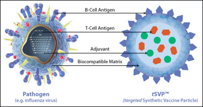 synthetic_vaccine_particle