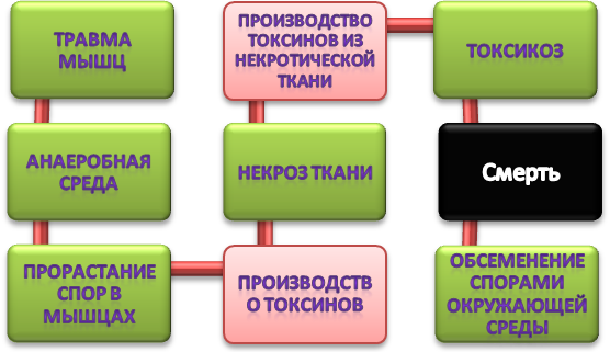 Новости учреждения.