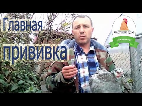 Индометацин при гепатите с