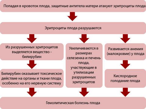 про резус-конфликт.