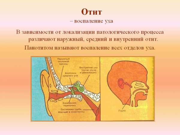 Антибиотик в уши капли