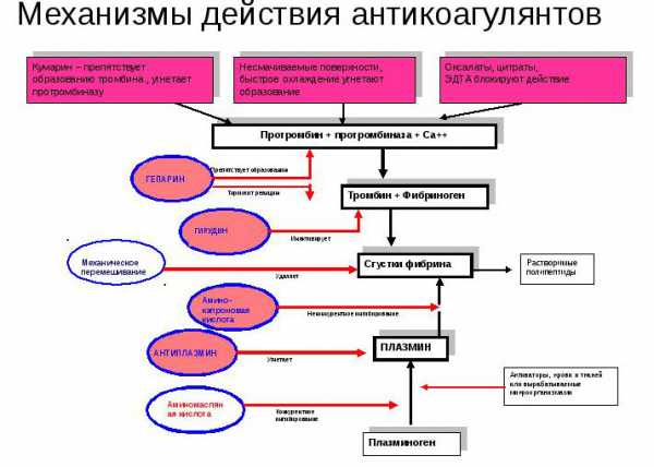 Антибиотики и антикоагулянты