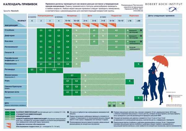 Германия календарь прививок