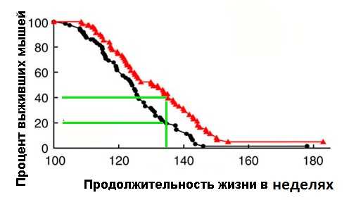 Глюкозамин и антибиотики