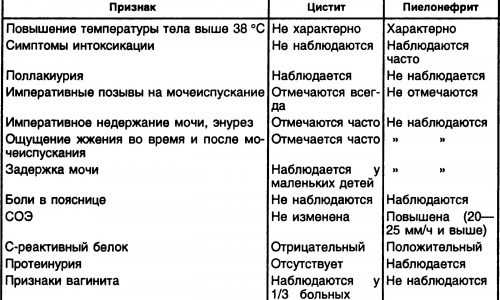 Лечение цистита и пиелонефрита антибиотиками