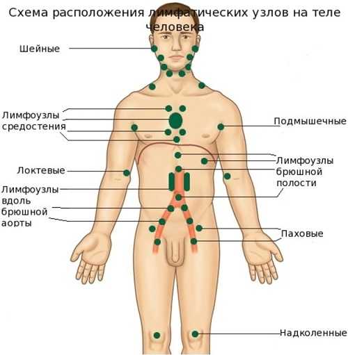 Лечение мезаденита антибиотиками