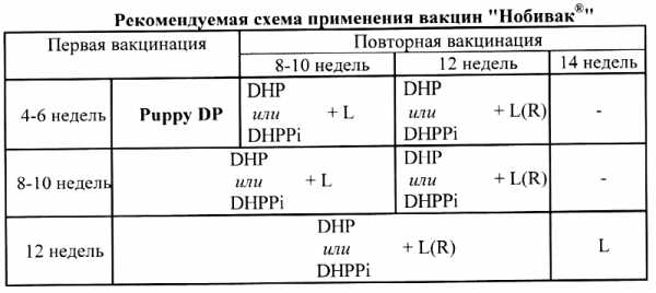 Nobivac dhppi прививка