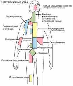 После прививки лимфоузел