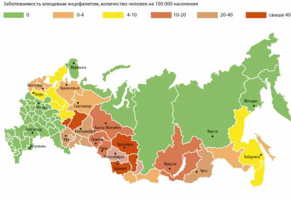 Прививка против энцефалита