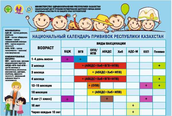 Проф прививки календарь