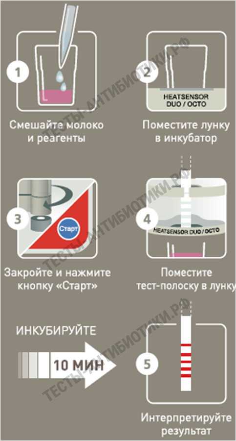 Тест на антибиотики